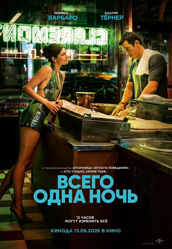 Всего одна ночь - постер